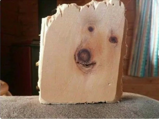 This programmer barked up the wrong tree. Don’t be that person.